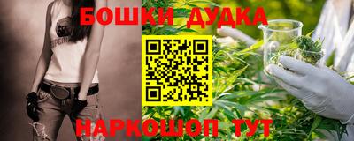 стаф Гай