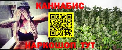 стаф Гай