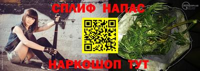 стаф Гай