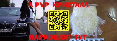 стаф Гай