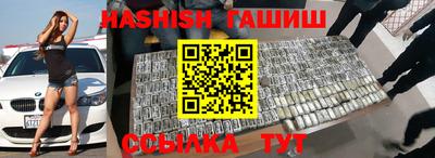 стаф Гай