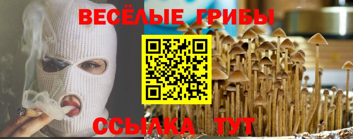 Псилоцибиновые грибы Psilocybe  Вход с VPN  купить закладку  Углич 