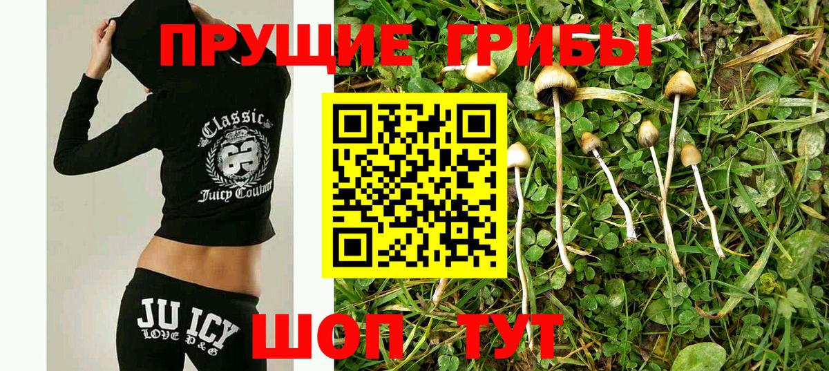 Галлюциногенные грибы мицелий Углич